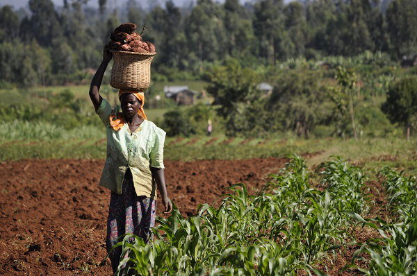 kenya-farmer