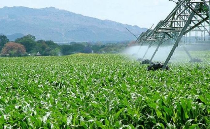 agriculture_842103_679x417-685x420_c
