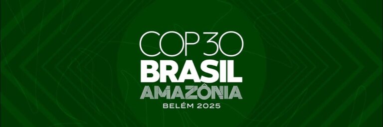banner-webpage-cop30_0